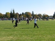 OTFL Gallery Image